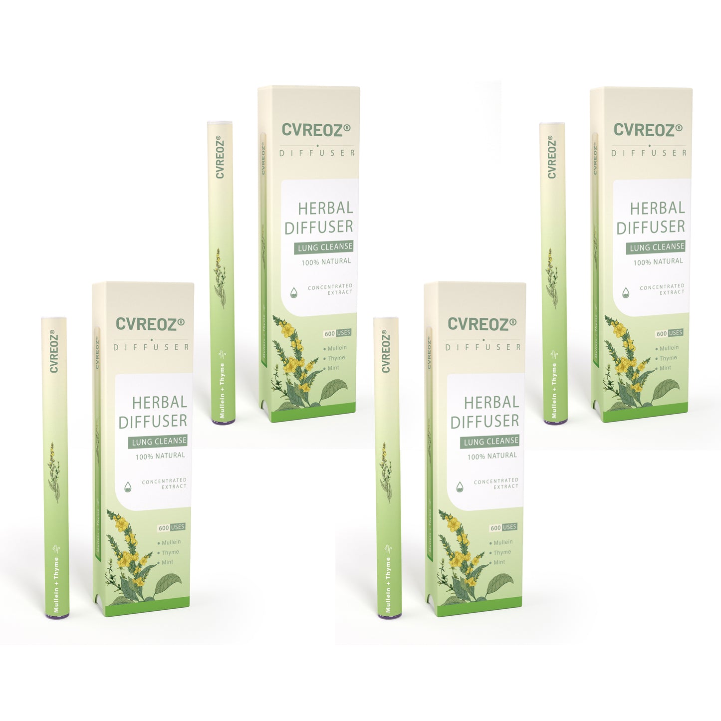 🔥Mullein Aroma Air Scentor – Relief for Cough, Congestion & Breathing Comfort2.0💝丨🐷001