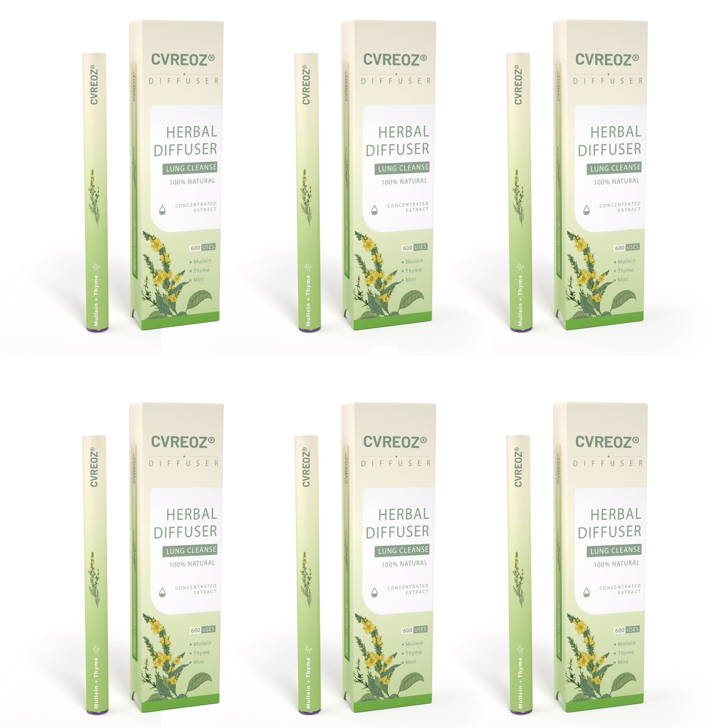 🔥Mullein Aroma Air Scentor – Relief for Cough, Congestion & Breathing Comfort2.0💝丨🐷001
