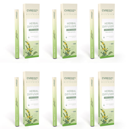 🔥Mullein Aroma Air Scentor – Relief for Cough, Congestion & Breathing Comfort2.0💝丨🐷001
