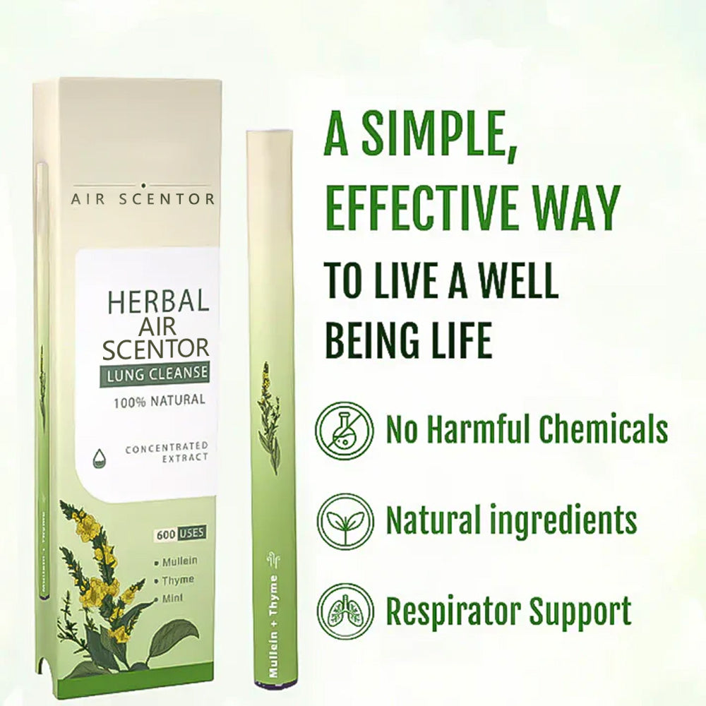 🔥Mullein Aroma Air Scentor – Relief for Cough, Congestion & Breathing Comfort2.0💝丨🐷001