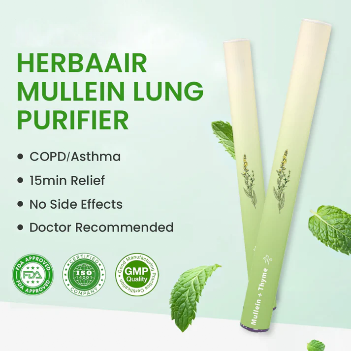🔥Mullein Aroma Air Scentor – Relief for Cough, Congestion & Breathing Comfort2.0💝丨🐷001