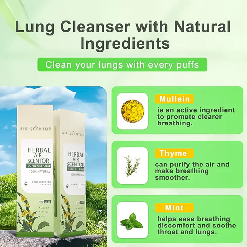 🔥Mullein Aroma Air Scentor – Relief for Cough, Congestion & Breathing Comfort2.0💝丨🐷001